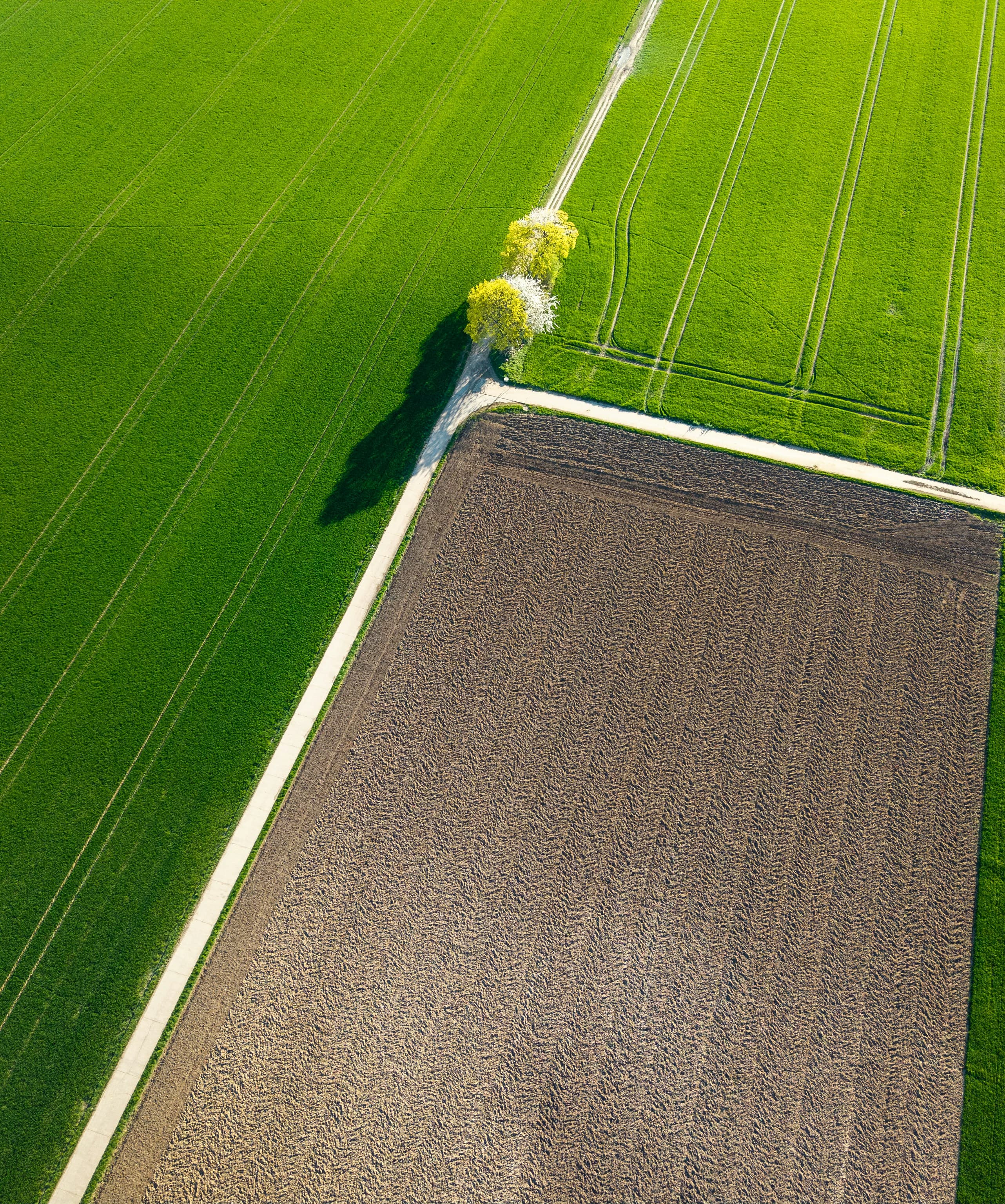 RIC Group Agri-Industrial Scale